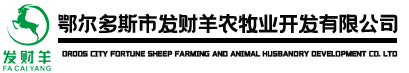 24直播網(wǎng)